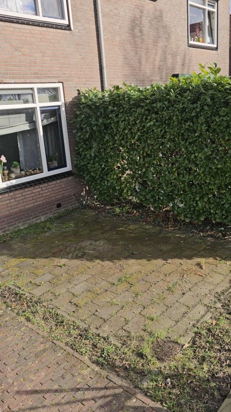 Voor de behandeling